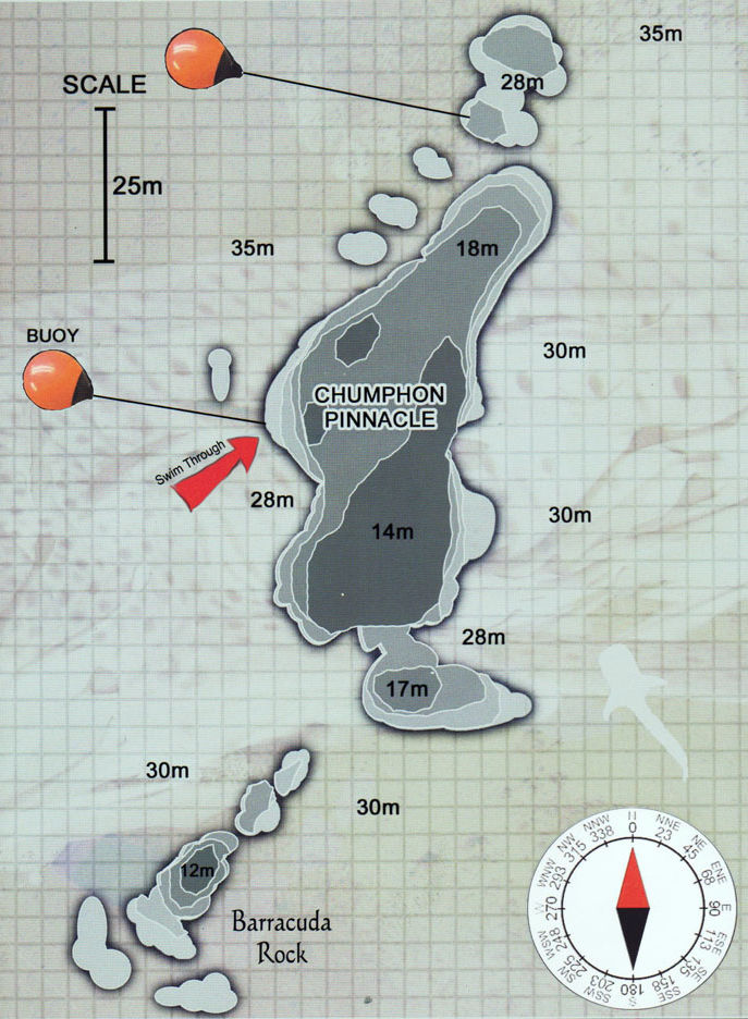 Chumphon Pinnacle — дайв-сайт китовых акул