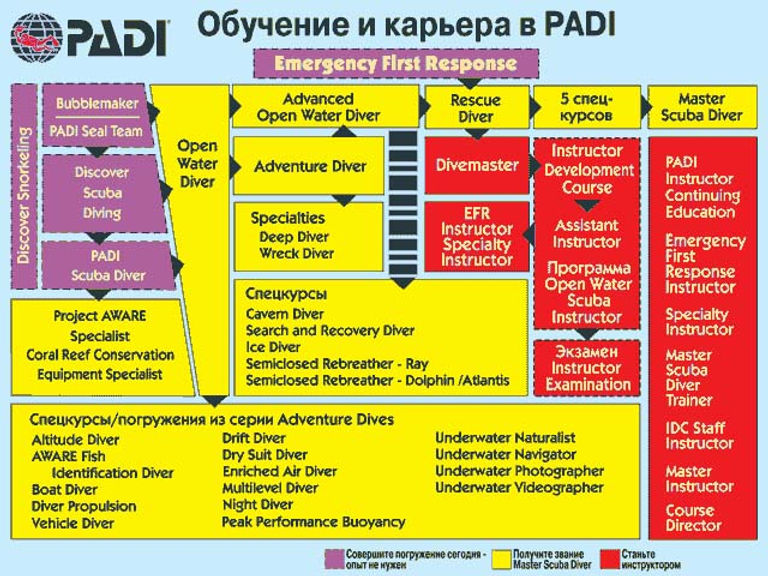 Система курсов PADI — от новичка до инструктора